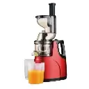 Sayona Slow Juicer SSJ-4661